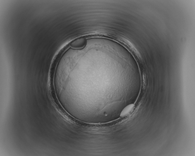 X0000110970780200906261407