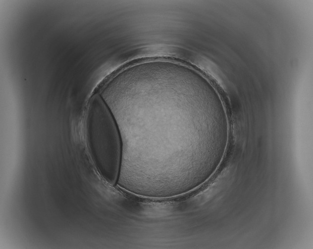 X0000110970781200906261407