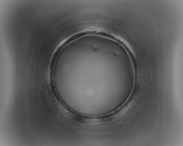 X0000110970783200906261407