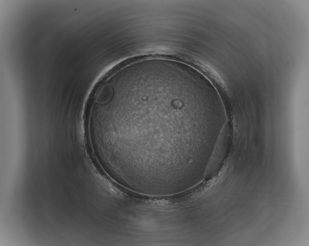 X0000110970784200906261407