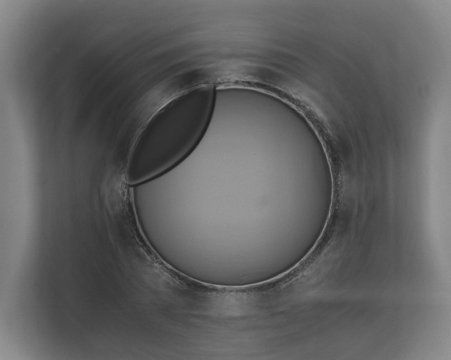 X0000110970785200906261407