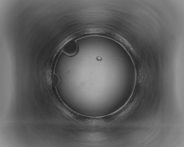 X0000110970786200906261407