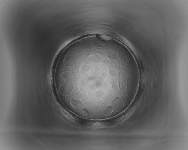 X0000110970787200906261407