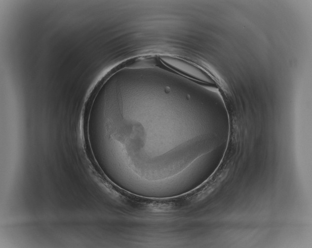 X0000110970788200906261407