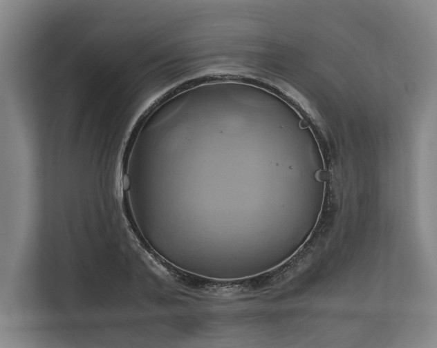 X0000110970791200906261407