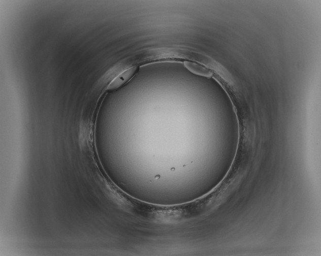 X0000110970793200906261407