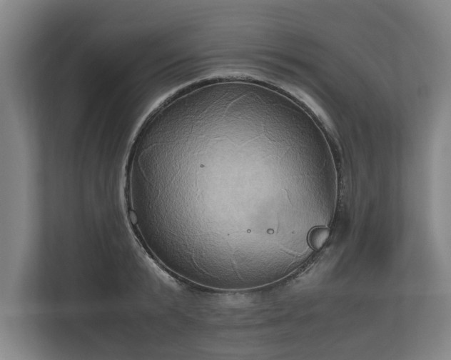 X0000110970799200906261407