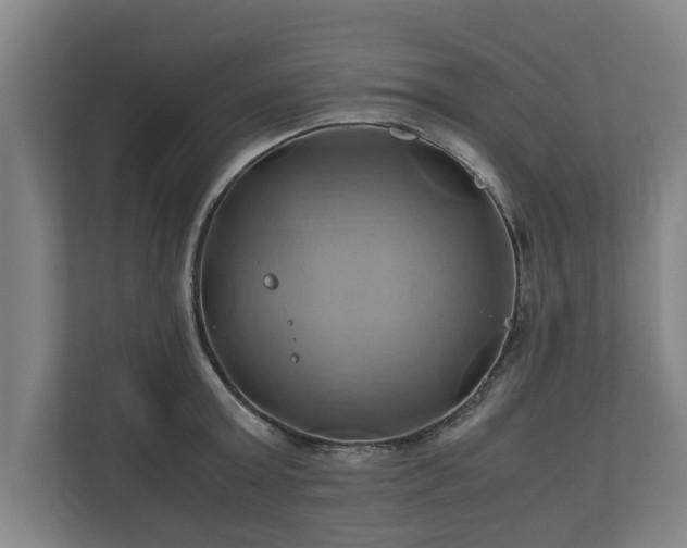 X0000110970803200906261407