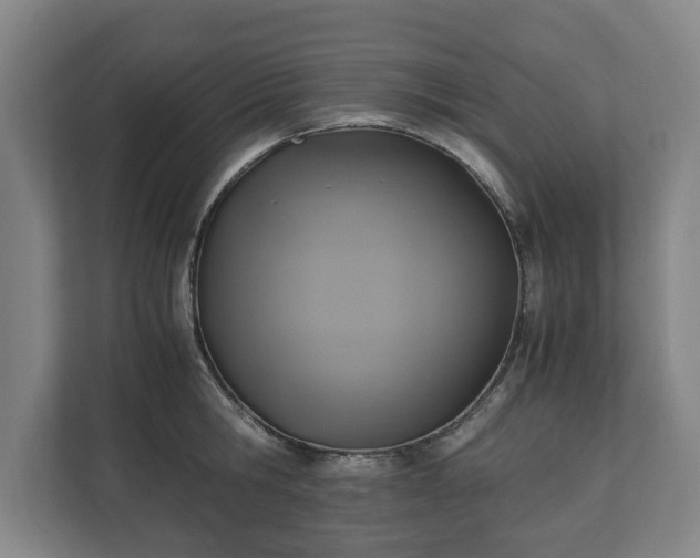 X0000110970806200906261407