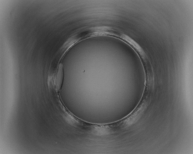 X0000110970809200906261407