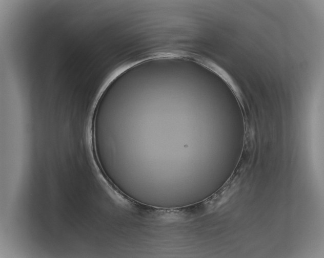 X0000110970811200906261407