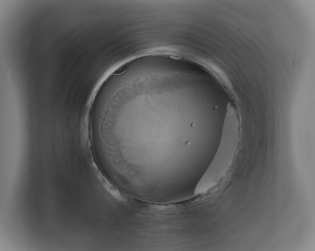 X0000110970816200906261407