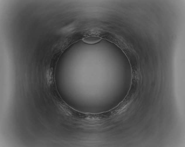 X0000110970818200906261406