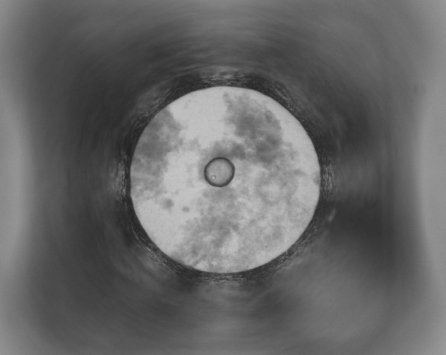 X0000110970820200906261406