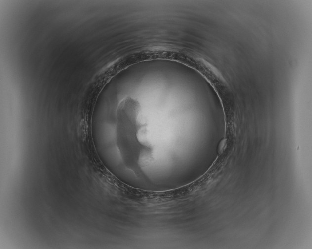 X0000110970821200906261406