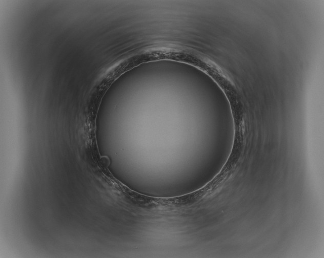 X0000110970822200906261406