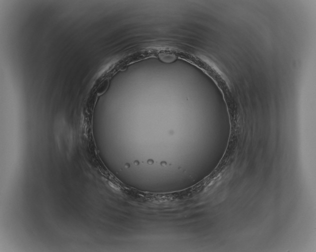 X0000110970823200906261406