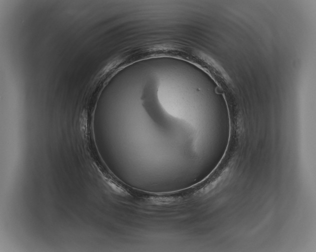 X0000110970825200906261406