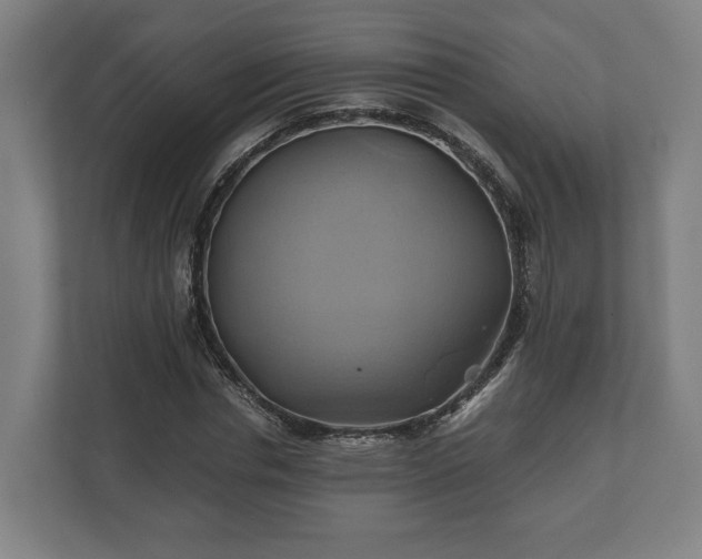 X0000110970826200906261406