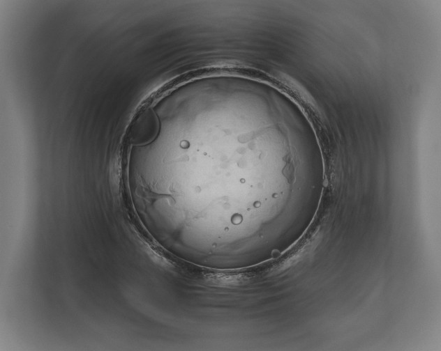 X0000110970831200906261406