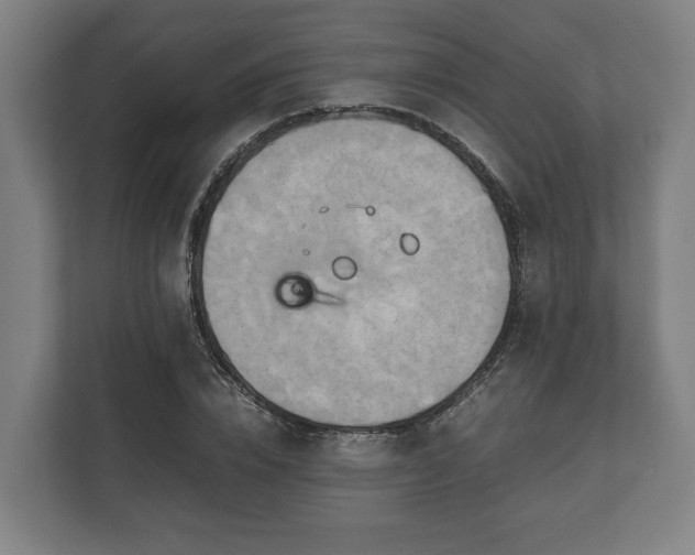 X0000110970832200906261406