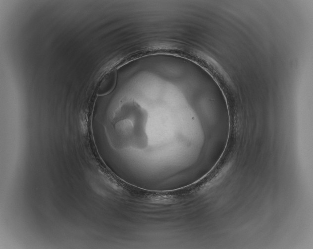 X0000110970833200906261407