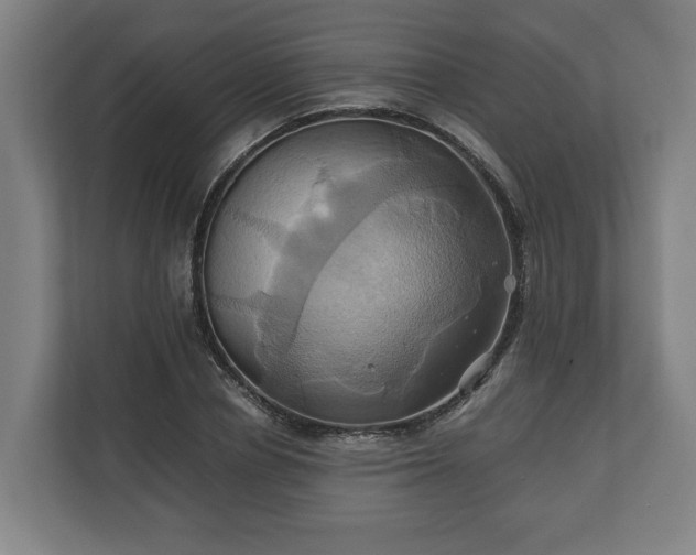 X0000110970834200906261407