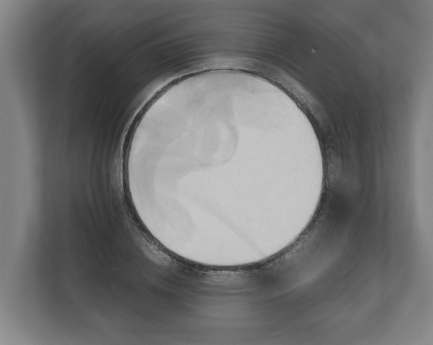 X0000110970836200906261407