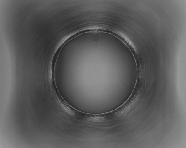 X0000110970837200906261407