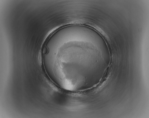 X0000110970838200906261407