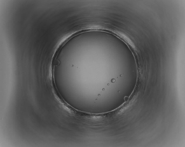 X0000110970839200906261407