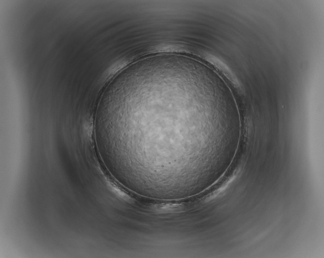 X0000110970841200906261407