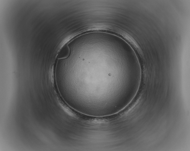 X0000110970842200906261407