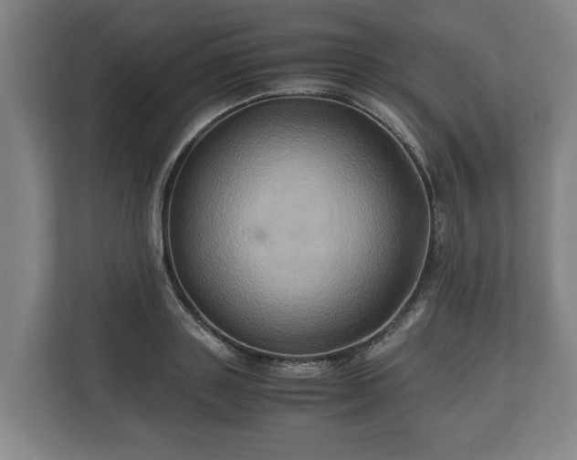 X0000110970843200906261407