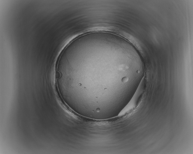 X0000110970844200906261407