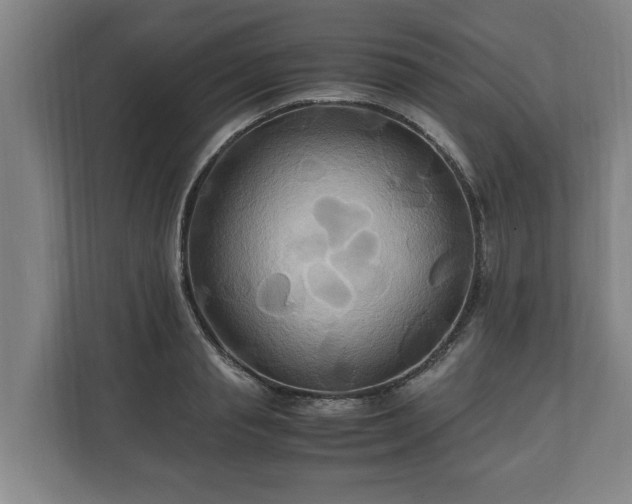 X0000110970845200906261407