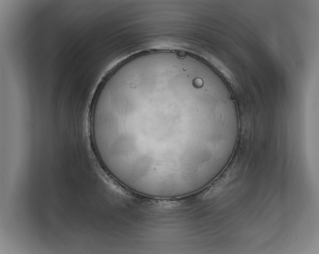 X0000110970848200906261407