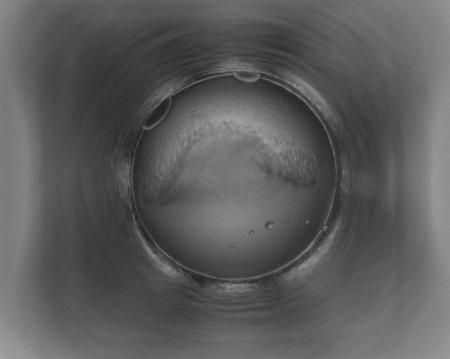 X0000110970849200906261407