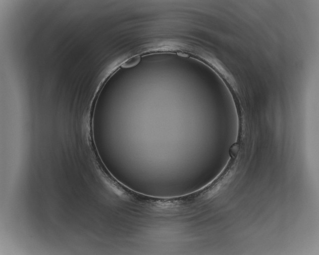 X0000110970850200906261407