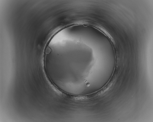 X0000110970853200906261407