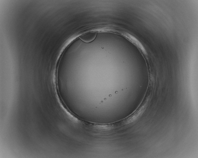 X0000110970855200906261407