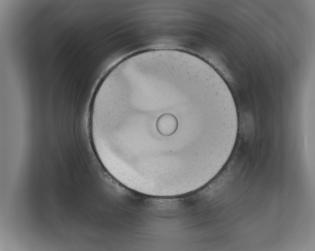 X0000110970856200906261407