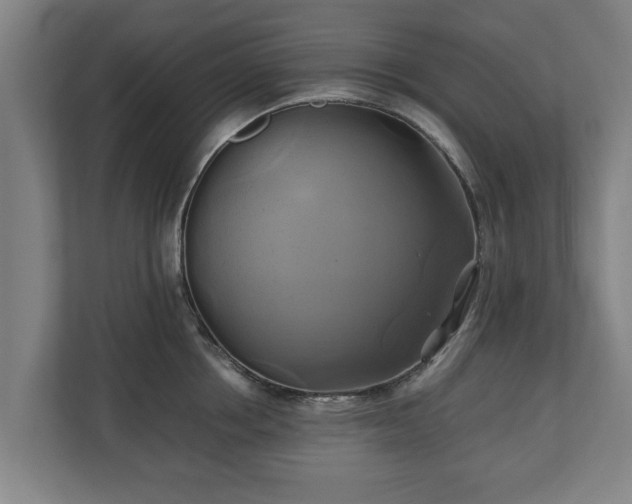 X0000110970858200906261407