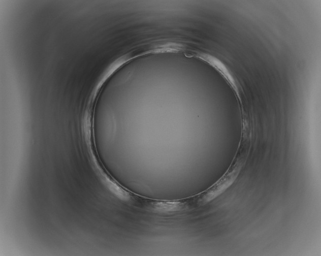 X0000110970859200906261407