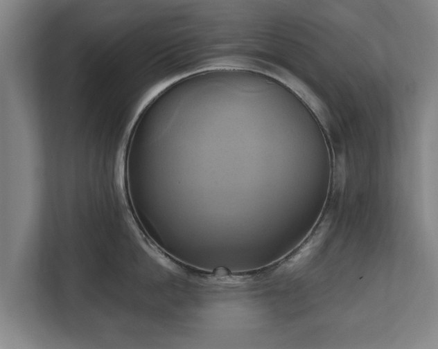 X0000110970862200906261407