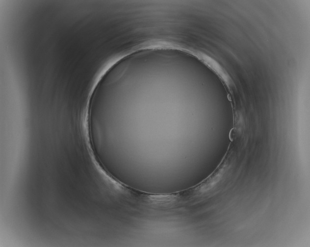 X0000110970863200906261407