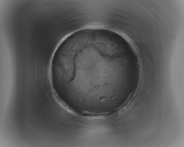 X0000110970864200906261407