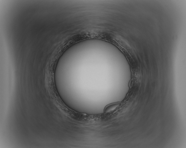 X0000110970865200906261406