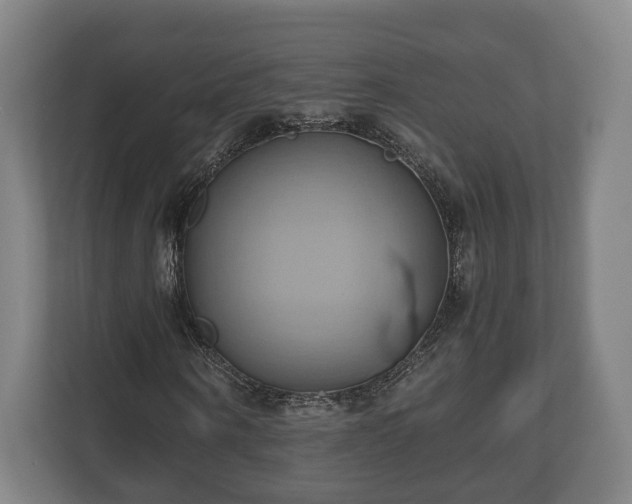 X0000110970866200906261406