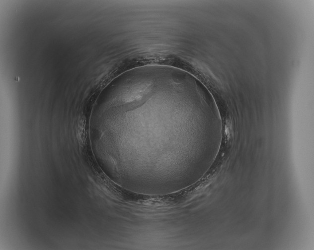 X0000110970867200906261406